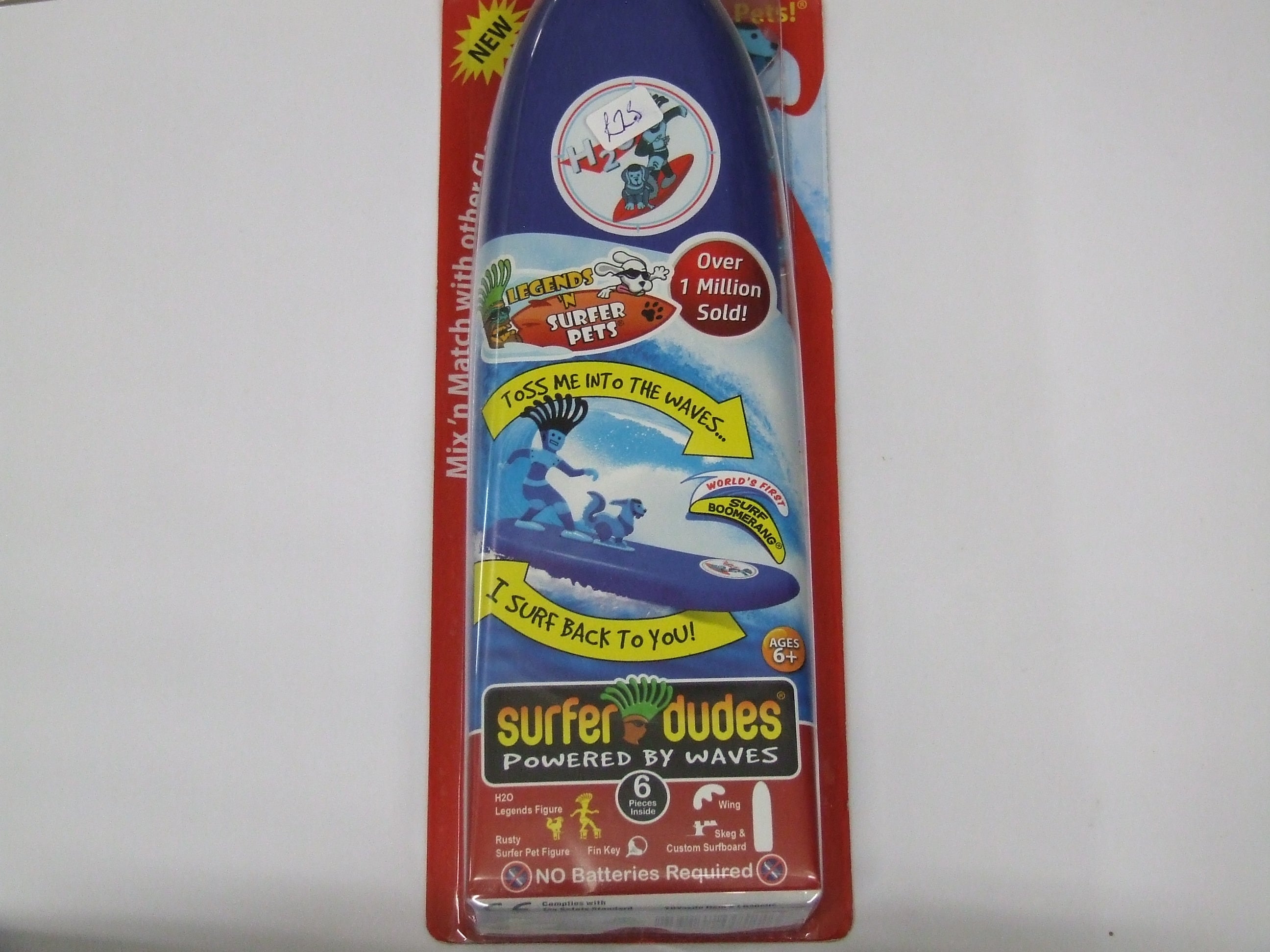 Surfer Dude
